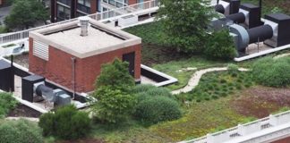 green roof nyc