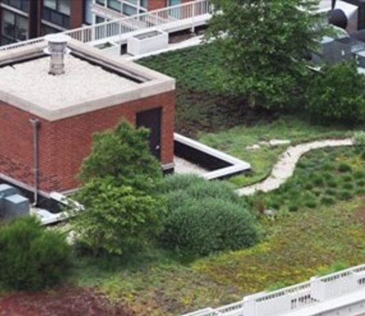 green roof nyc