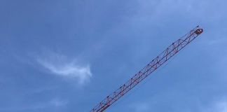 crane