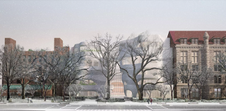 amnh rendering